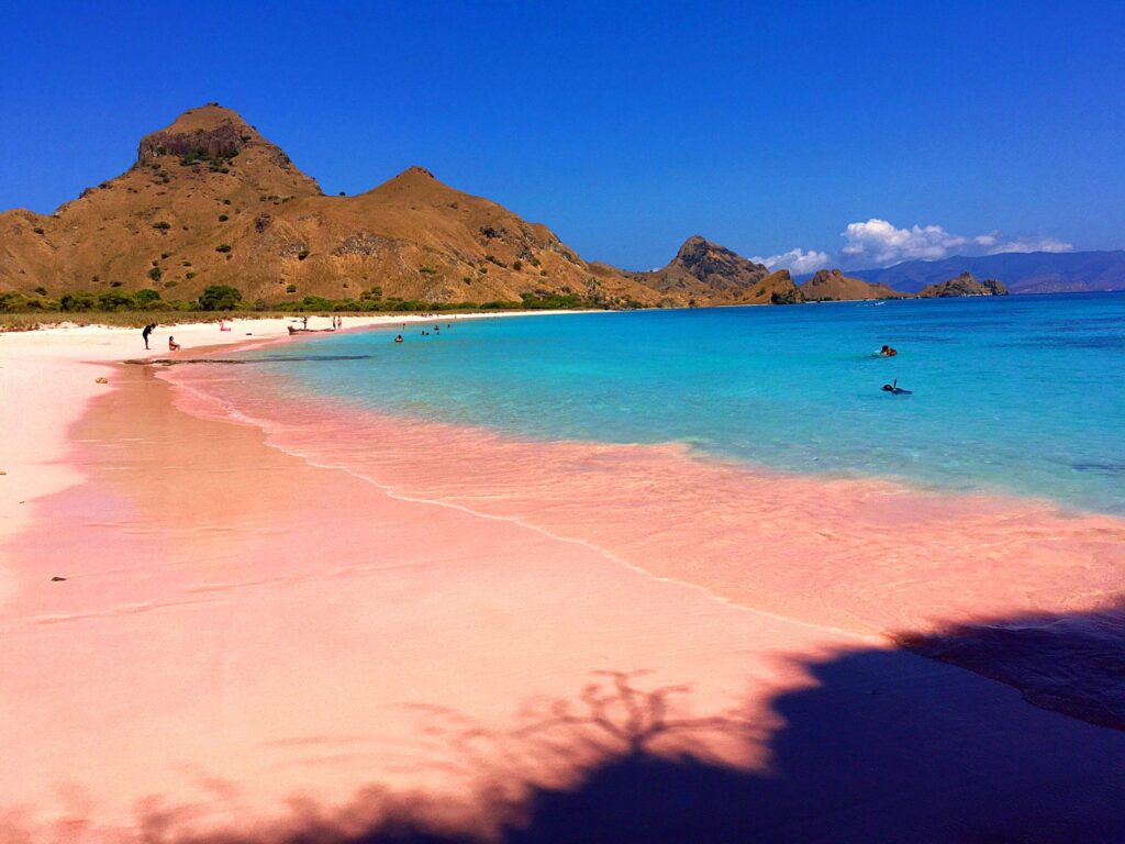 Air laut jernih di Pink Beach Lombok Timur