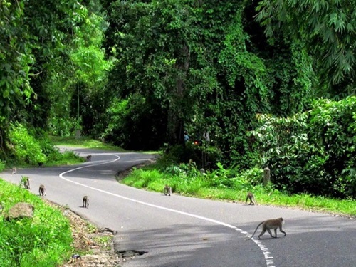 Lombok Tour Explorer