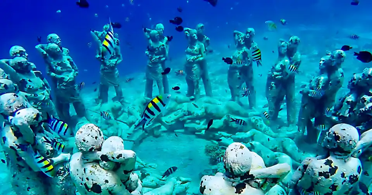 Patung bawah laut di Gili Trawangan dengan ikan tropis dan spot snorkeling populer untuk wisatawan paket tour Lombok.
